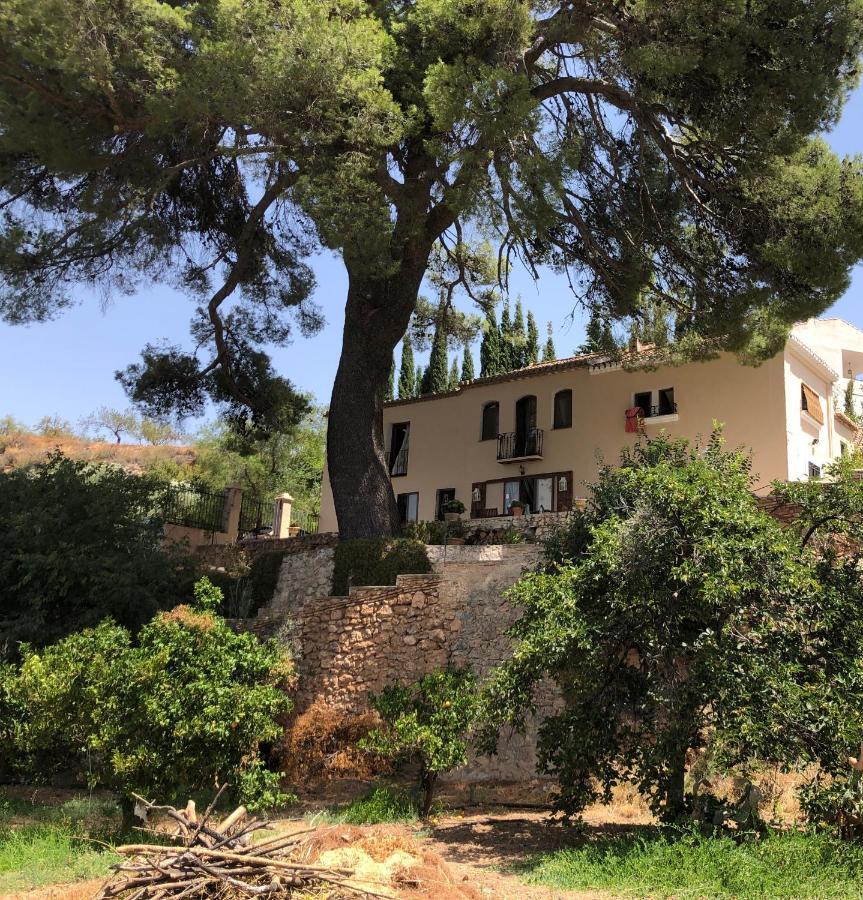 Albuñuelas Cortijo El Pino Retreat Bed & Breakfast エクステリア 写真