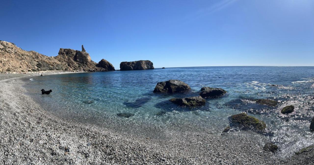 Albuñuelas Cortijo El Pino Retreat Bed & Breakfast エクステリア 写真