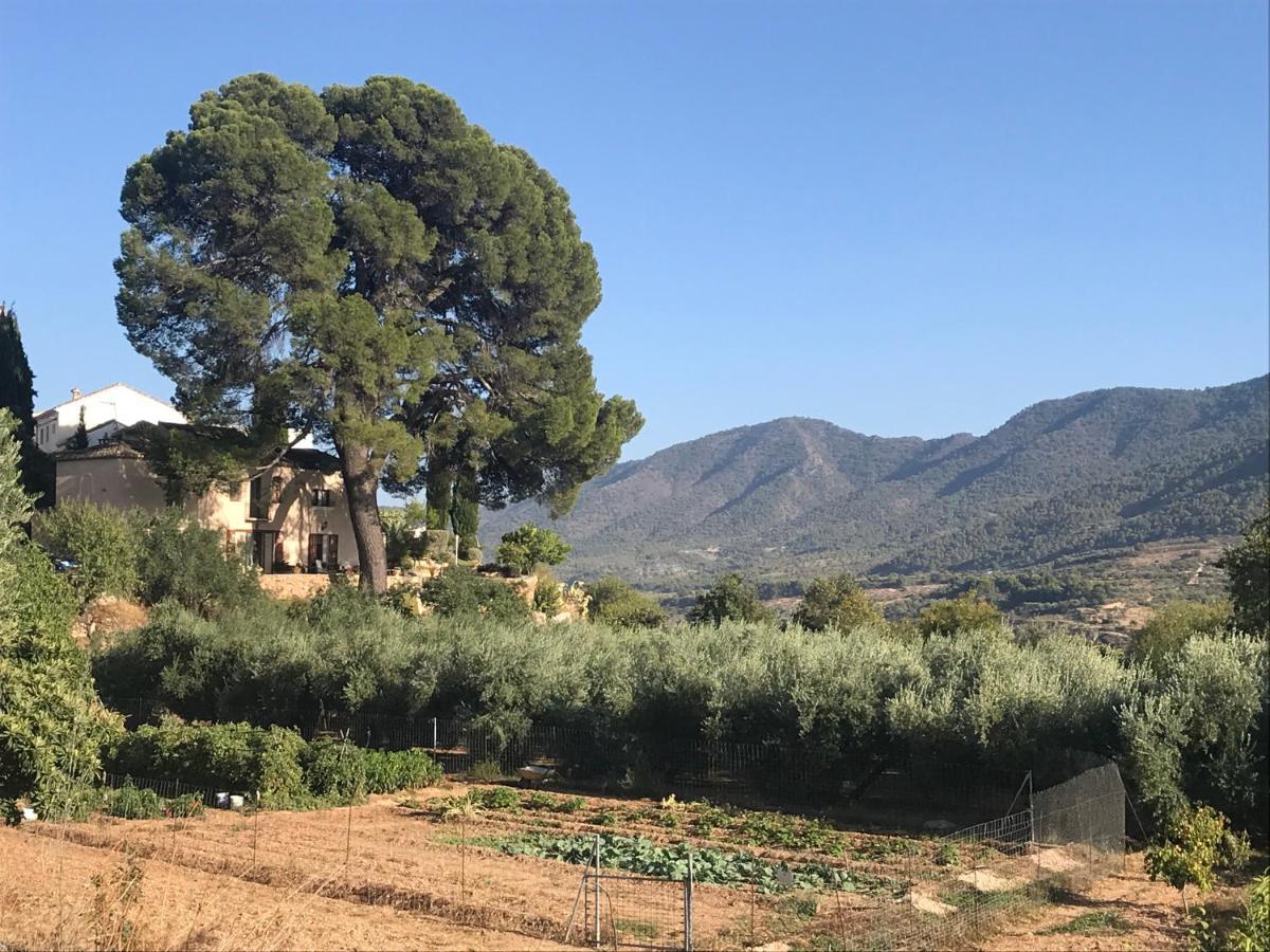 Albuñuelas Cortijo El Pino Retreat Bed & Breakfast エクステリア 写真