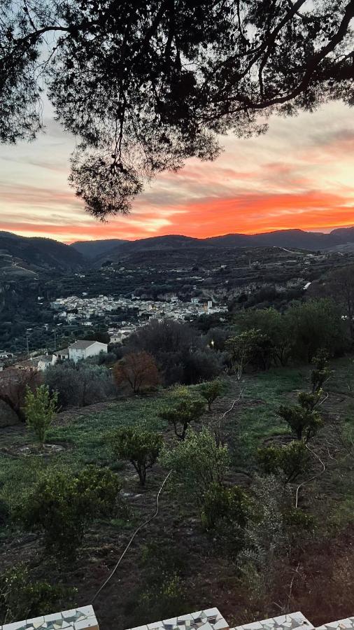 Albuñuelas Cortijo El Pino Retreat Bed & Breakfast エクステリア 写真