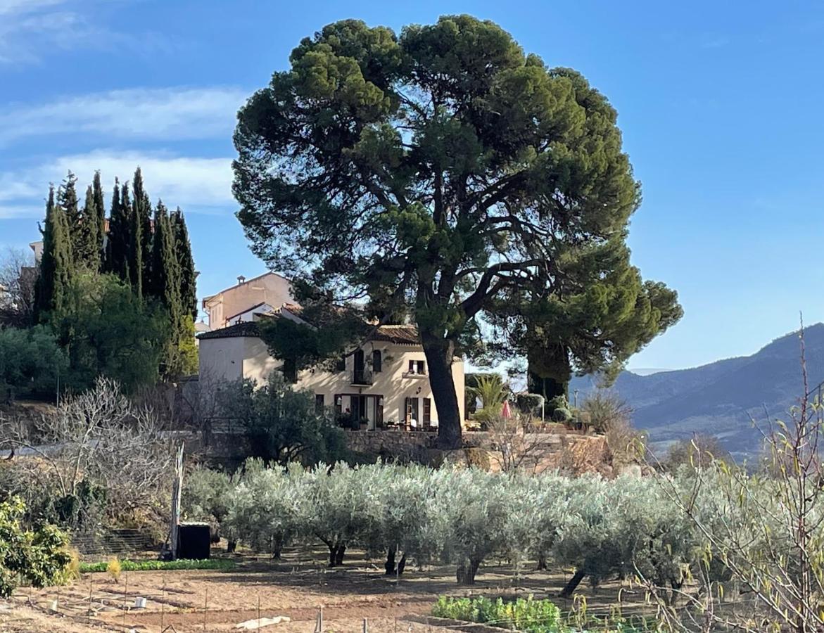 Albuñuelas Cortijo El Pino Retreat Bed & Breakfast エクステリア 写真