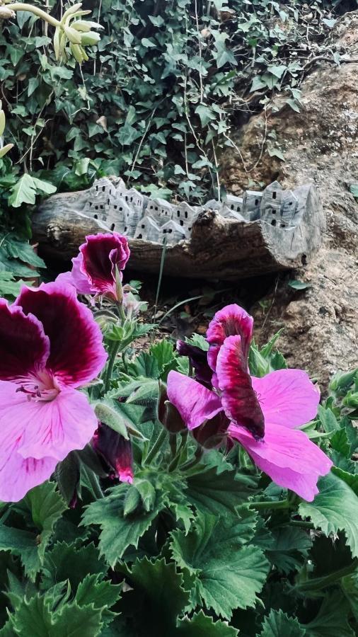Albuñuelas Cortijo El Pino Retreat Bed & Breakfast エクステリア 写真